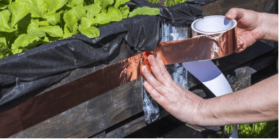 Слимаки і мідні дроти