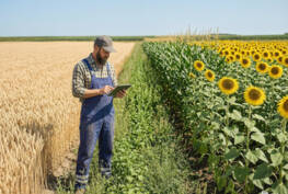 Як правильно обрати гербіцид для різних культур