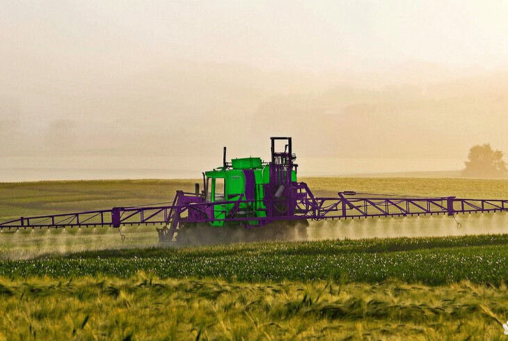 Фунгіциди: ефективний захист врожаю від хвороб на різних стадіях розвитку