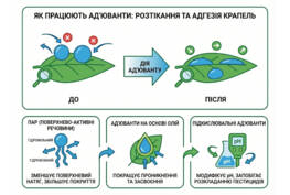 Ад’юванти та прилипачі: як підвищити ефективність препаратів