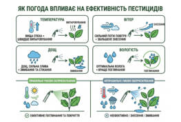 Як погодні умови впливають на ефективність ЗЗР