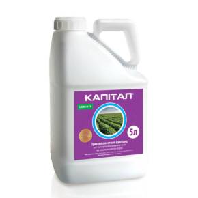 Капітал 5 л