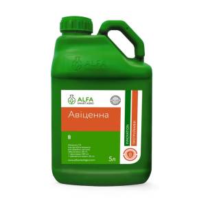 Авіценна 5 л