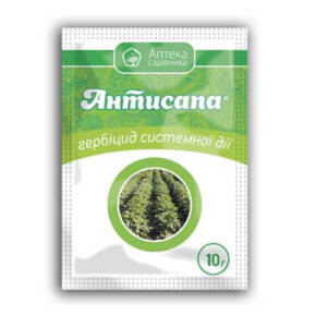 Антисапа 10 г