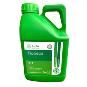 Лобера 5 л