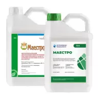 Маестро 5 л